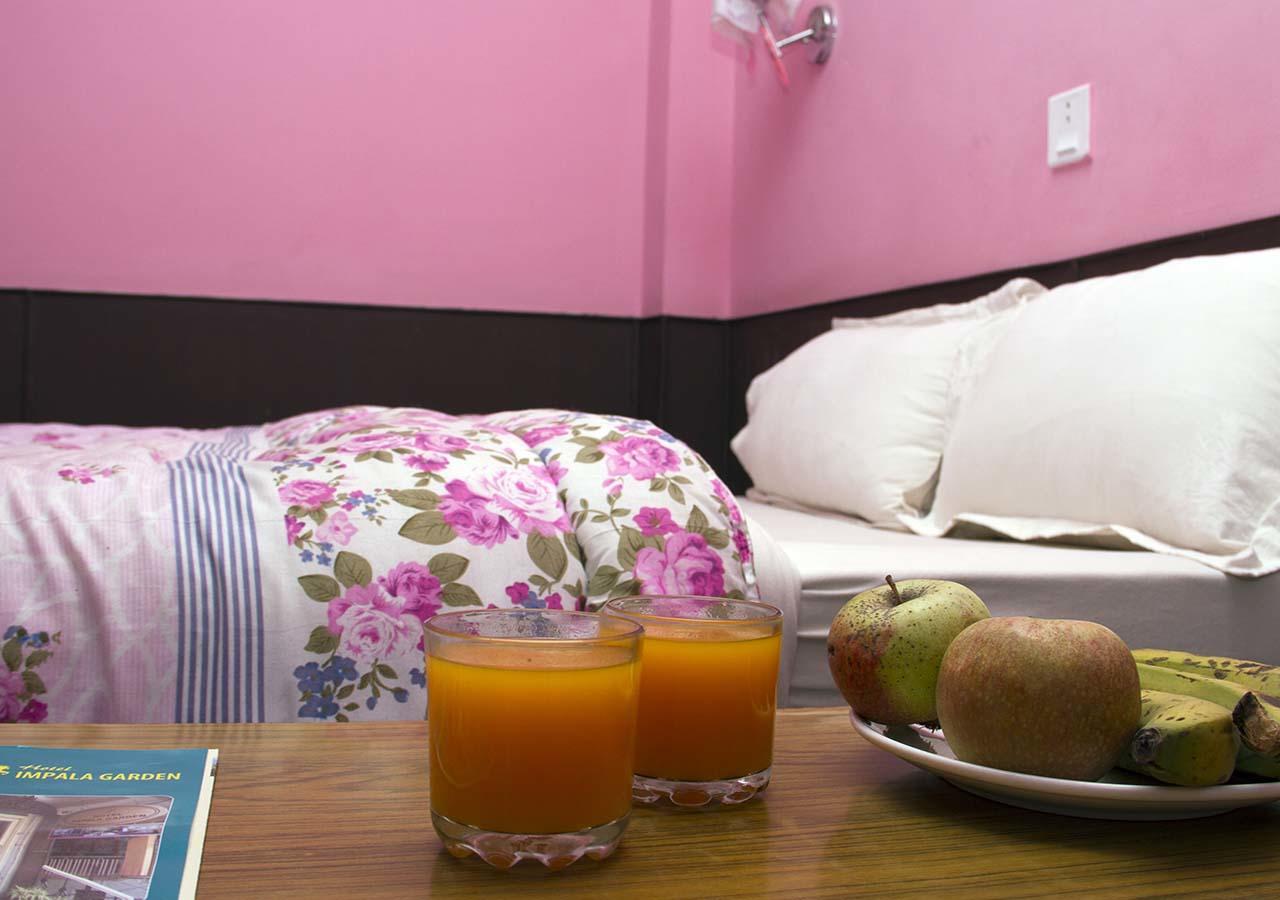 Hotel Impala Garden Катманду Экстерьер фото